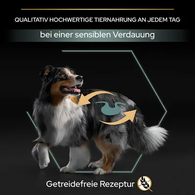 Qualitativ hochwertige Tiernahrung an jedem Tag, bei einer sensiblen Verdauung. Getreidefreie Rezeptur mit Symbol für Verdauung.