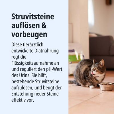 Struvitsteine auflösen & vorbeugen. Diätnahrung regt Flüssigkeitsaufnahme an, reguliert pH-Wert des Urins und hilft Struvitsteine aufzulösen sowie neuen Steinen vorzubeugen.