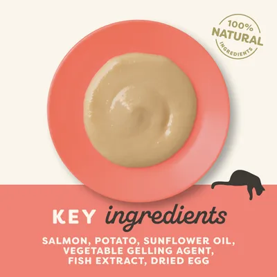 Applaws Creamy Treat 8 x 15 g - losos