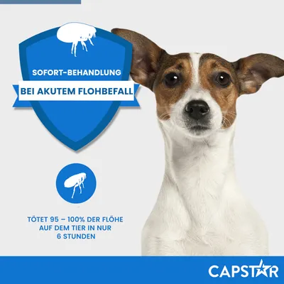 Sofort-Behandlung bei akutem Flohbefall. Tötet 95–100% der Flöhe auf dem Tier in nur 6 Stunden. Marke: Capstar.