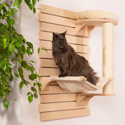Mačka na nástennom škrabadle z dreva s plátenou hojdacou sieťou a plyšovým ležadlom, sisalový stĺpik na škrabanie. Produkt pre mačky, montáž na stenu. Mačka na nástennom škrabadle z dreva s plátenou hojdacou sieťou a plyšovým ležadlom, sisalový stĺpik na škrabanie. Produkt pre mačky, montáž na stenu.