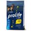 Multipack Risparmio! 2 x Prolife 2 x 12 kg Smart Adult Medium/ Large Breed Pollo & Riso
