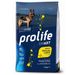 Multipack Risparmio! 2 x Prolife 2 x 12 kg Smart Adult Medium/ Large Breed Pollo & Riso