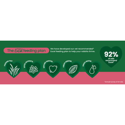 Burgess Excel feeding plan: Feeding Hay, Excel Nuggets, Nature Snacks, Fresh Greens, Fresh Water. 92% of vets recommend Excel. Source: annual survey of UK vets.