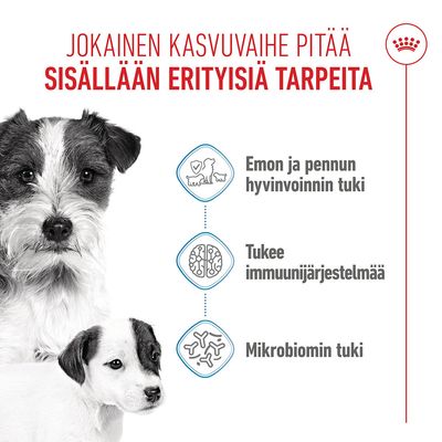 Grafiikka, jossa on kolme kohtaa: emon ja pennun hyvinvoinnin tukeminen, immuunijärjestelmän tukeminen, mikrobiomin tukeminen.