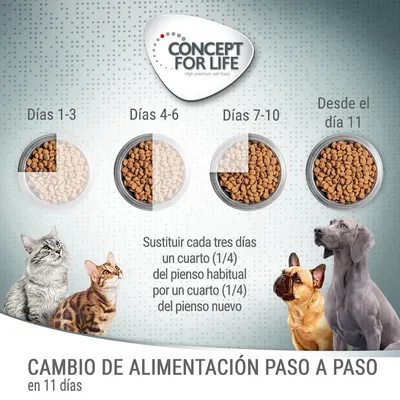 Guía Concept for Life para cambio de alimentación en 11 días: sustituir cada tres días un cuarto del pienso habitual por uno nuevo. Incluye imágenes de gatos y perros.