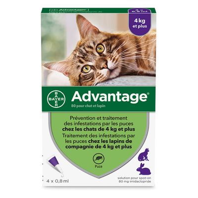 Frontline Pour Chat Pas Cher Zooplus
