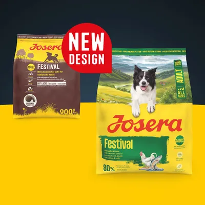 Josera Adult Festival salmón y pollo - 12,5 kg