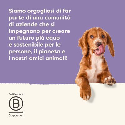Applaws Taste Toppers Pacco misto 6 x 85 g per cani