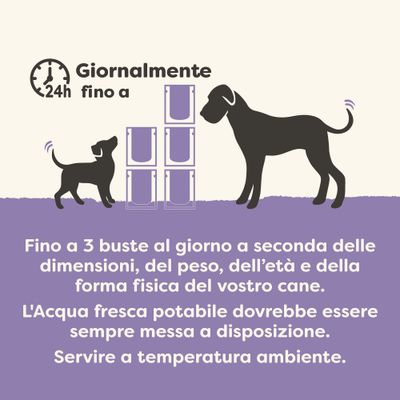 Applaws Taste Toppers Pacco misto 6 x 85 g per cani