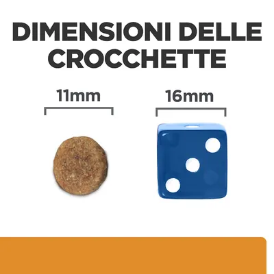 Dimensioni delle crocchette: diametro 11 mm, confronto con dado blu da 16 mm. Testo visibile: 'DIMENSIONI DELLE CROCCHETTE', '11mm', '16mm'.