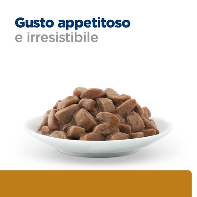 Gusto appetitoso e irresistibile, ciotola bianca con bocconcini di cibo umido marrone per pet.