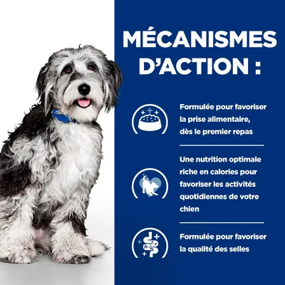 MÉCANISMES D’ACTION : Formulée pour favoriser la prise alimentaire, une nutrition optimale riche en calories, formulée pour favoriser la qualité des selles. Texte en français.