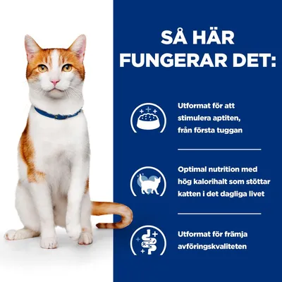 Så här fungerar det: Utformat för att stimulera aptiten, optimal nutrition med hög kalori, utformat för främja avföringskvaliteten. Text och ikoner bredvid en katt.