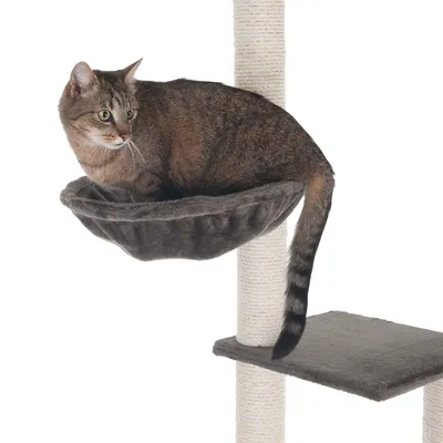 Krabpaal met sisalpalen, grijze pluche ligmand en plateau. Kat ligt in de mand. Materialen: pluche en sisal zichtbaar.