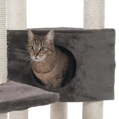 Cat sitting inside a grey cubed hideaway attached to a scratching post, demonstrating use of the product’s enclosed resting area.