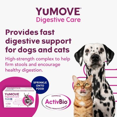 YuMOVE Digestive Care provides fast digestive support for dogs and cats. High-strength complex to help firm stools and encourage healthy digestion. Sprinkle onto food. Powered by ActivBio.