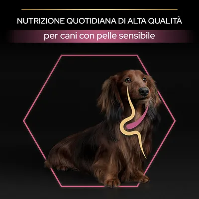 Nutrizione quotidiana di alta qualità per cani con pelle sensibile, testo visibile sopra un cane bassotto con grafica stilizzata su sfondo nero.