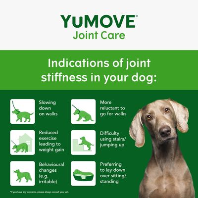 YuMOVE Joint Care. Indications of joint stiffness in your dog: slowing down on walks, reluctance for walks, reduced exercise, difficulty with stairs, behavioural changes, preferring to lay down.