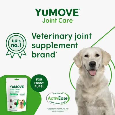 YuMOVE Joint Care veterinary joint supplement brand, UK’s no.1, for fussy pups, powered by ActivEase green lipped mussel. Image shows product pack and a dog.