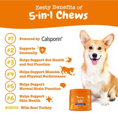 Zesty Benefits of 5-in-1 Chews: 1. Powered by Calsporin, 2. Supports Immunity, 3. Helps Support Gut Health and Gut Function, 4. Helps Support Muscles and Physical Performance, 5. Helps Support Normal Brain Function, 6. Helps Support Skin Health, BONUS: With Real Turkey