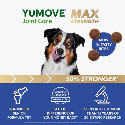 YuMOVE Joint Care Max Strength, now in tasty bites. 50% stronger. Strongest senior formula yet. 6 week money back guarantee. Supported by over 15 years of scientific research.