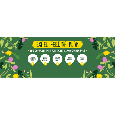 Excel Feeding Plan: The complete diet for rabbits and guinea pigs with Excel Feeding Hay, Excel Tasty Nuggets, Excel Nature Snacks, fresh greens, and fresh water.