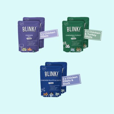 Three packs: 3 x Chicken Fillets, 3 x Chicken & Turkey Fillets, and 2 x Chicken Fillets & Duck. Each pack labelled grain free, delicate recipes, made for cats.