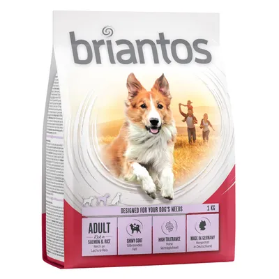 Briantos Adult lax & ris, glänsande päls, hög tolerans, tillverkad i Tyskland, 1 kg.