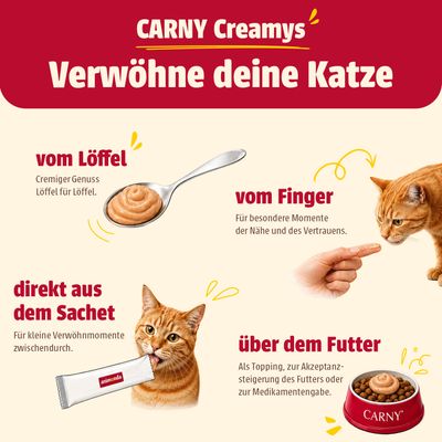 CARNY Creamys Verwöhne deine Katze: vom Löffel, vom Finger, direkt aus dem Sachet oder über dem Futter. Verschiedene Möglichkeiten zur Fütterung und Belohnung.