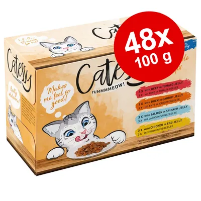 Catessy Yummmmeow! 48x100 g. 3x with beef in tomato jelly, duck in carrot jelly, salmon in spinach jelly, chicken in egg jelly. Tekst: Makes me feel so good!
