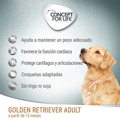 Concept for Life. Ayuda a mantener un peso adecuado, favorece la función cardiaca, protege cartílagos y articulaciones, croquetas adaptadas, sin trigo ni soja. Golden Retriever Adult desde 15 meses.