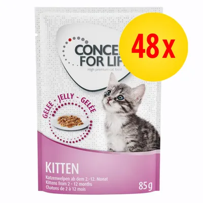 CONCEPT FOR LIFE Kitten, 85 g, 48 x. Gelee Jelly Gelee. KITTEN. Katzenwelpen ab dem 2.–12. Monat. Kittens from 2–12 months. Chatons de 2 à 12 mois. Billede af killing og foder på tallerken.