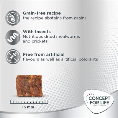 Grain-free recipe, with insects: dried mealworms and crickets. Free from artificial flavours and colourants. Square treat shown, 13 mm. Concept for Life brand logo visible.