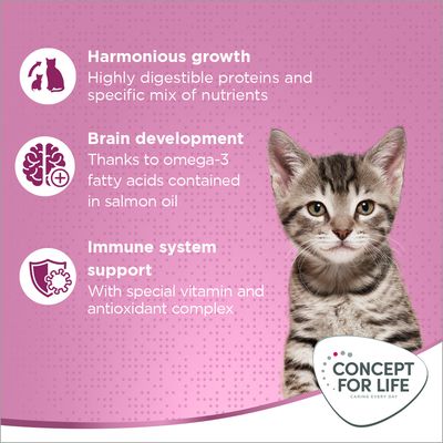 Concept for Life Kitten - Vylepšená receptura!