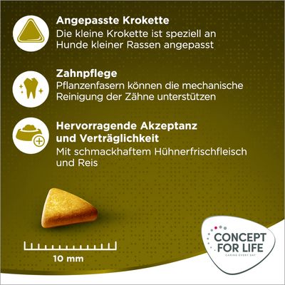 Angepasste Krokette für kleine Hunde, Zahnpflege durch Pflanzenfasern, hervorragende Akzeptanz mit Hühnerfrischfleisch und Reis. Grösse der Krokette: 10 mm. Concept for Life Logo sichtbar.
