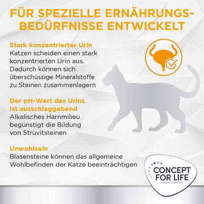 Für spezielle Ernährungsbedürfnisse entwickelt. Informationen zu konzentriertem Urin, pH-Wert des Urins und Unwohlsein bei Katzen. Marke: Concept for Life.