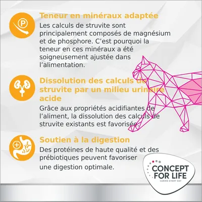 Concept for Life Veterinary Diet Urinary, bœuf - maxi lot % : 24 x 200 g