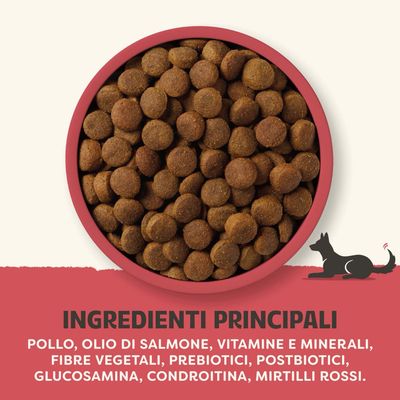 Ingredienti principali: pollo, olio di salmone, vitamine e minerali, fibre vegetali, prebiotici, postbiotici, glucosammina, condroitina, mirtillo rosso.