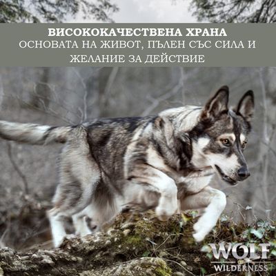 ВИСОКОКАЧЕСТВЕНА ХРАНА. Основата на живот, пълен със сила и желание за действие. Wolf Wilderness.