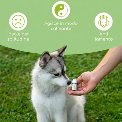 Wolfsbacher Natur Fiori di Bach 10 g