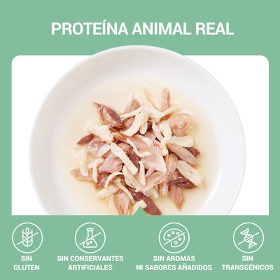 Schesir Complements Filete en gelatina 6 x 70 g en bolsitas