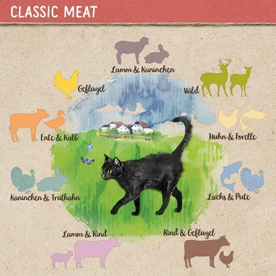 Classic Meat. Lamm & Kaninchen, Geflügel, Ente & Kalb, Wild, Huhn & Forelle, Lachs & Pute, Kaninchen & Truthahn, Lamm & Rind, Rind & Geflügel. Texte en allemand.