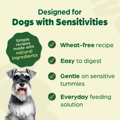 Naturediet Feel Good Senior Lite - Turkey & Chicken - Saver Pack: 36 x 390g