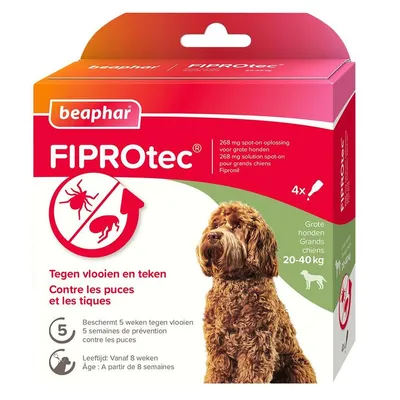 beaphar FIPROtec 268 mg spot-on voor grote honden 20–40 kg, tegen vlooien en teken, 4 pipetten, beschermt 5 weken, vanaf 8 weken leeftijd. Werkzame stof: Fipronil. beaphar FIPROtec 268 mg spot-on voor grote honden 20–40 kg, tegen vlooien en teken, 4 pipetten, beschermt 5 weken, vanaf 8 weken leeftijd. Werkzame stof: Fipronil.