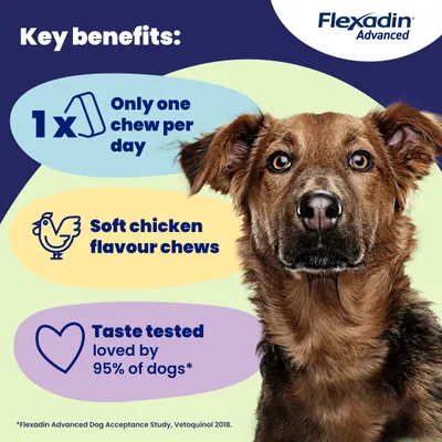 Flexadin Advanced Joint Care Supplement for Dogs - 30 Chews