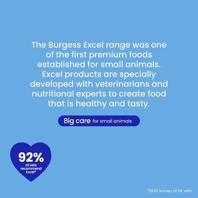 Burgess Excel Ferret Nuggets - Economy Pack: 2 x 2kg