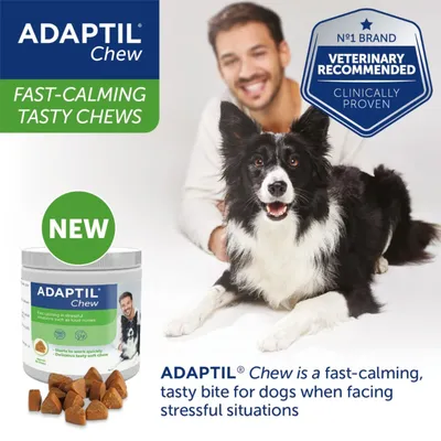 ADAPTIL Chew fast-calming tasty chews, new product. Veterinary recommended, clinically proven. Fast-calming, tasty bite for dogs when facing stressful situations.