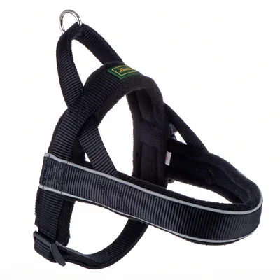 Harnais pour chien en nylon noir, boucle de réglage et anneau métallique visible, étiquette verte avec texte « Anny-X » sur le côté.