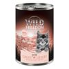 Wild Freedom Kitten 6 x 400 g Umido per gatto NUOVO: Great Desert - Tacchino & Pollo